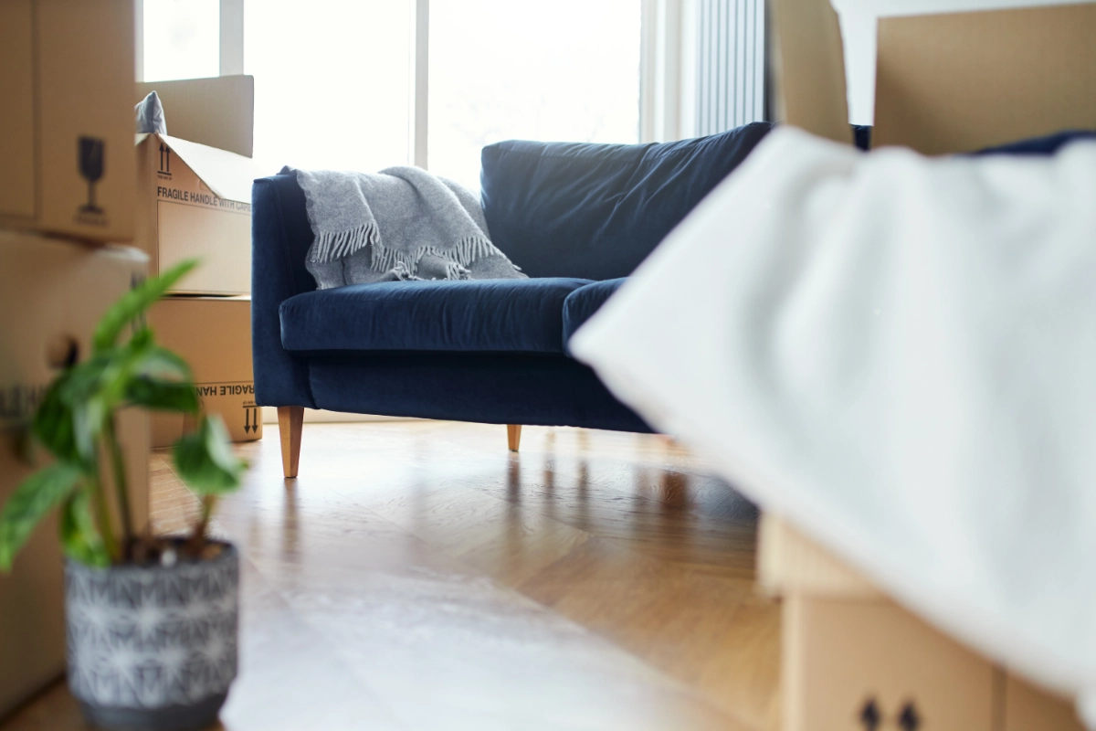 Moving boxes beside a sofa in a bright modern living room