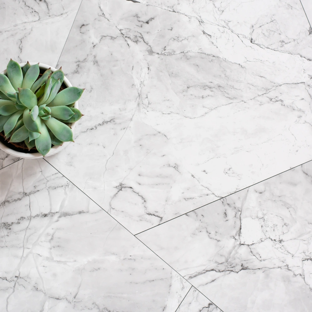 White marble-effect flooring with grey veining and a potted succulent